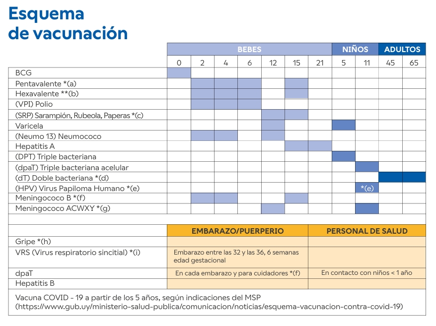 esquema vacunacion hb