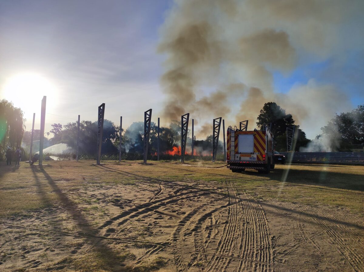 Espacio público del Lago Lagomar en el momento del incendio. Foto: Gentileza de los vecinos.