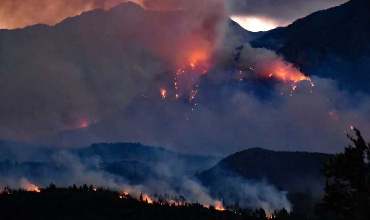 Así se vió el incendio en Epuyen.