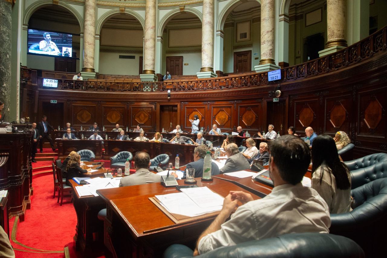 Foto: Senadores