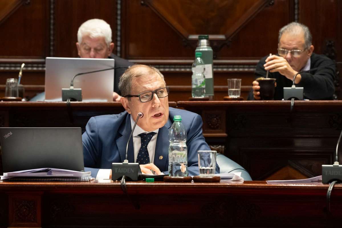 Foto: Cámara de Senadores