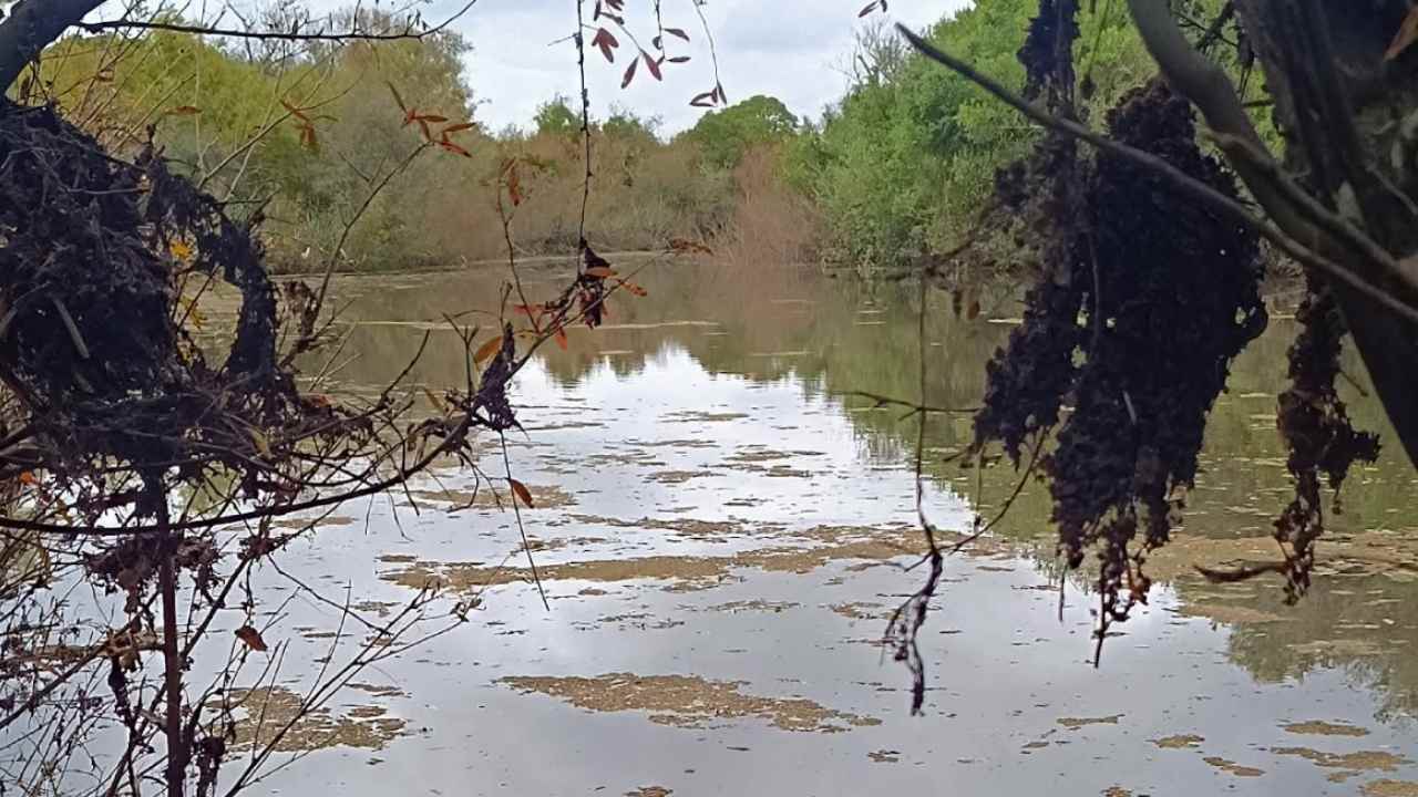 El gobierno avanza con la represa de Casupá