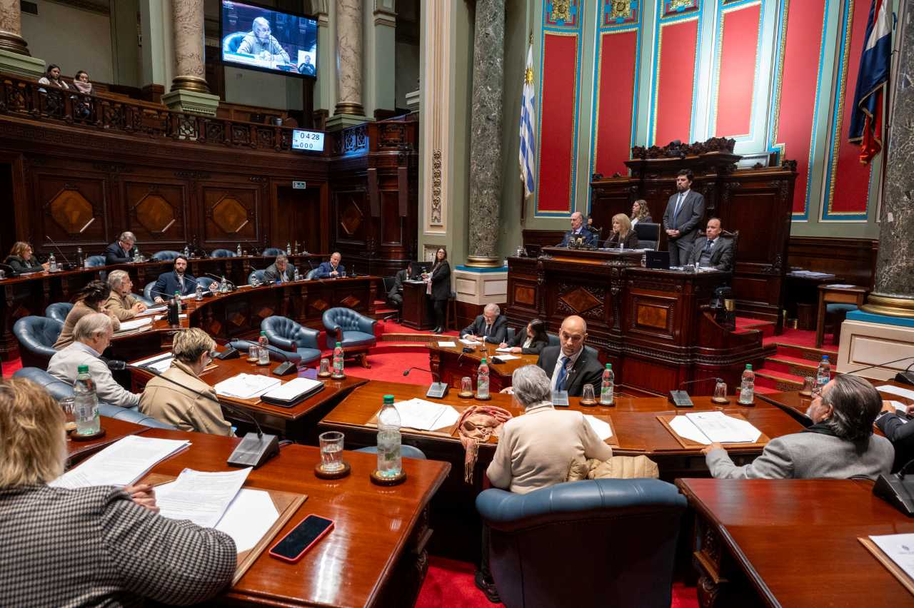 Foto: Senado