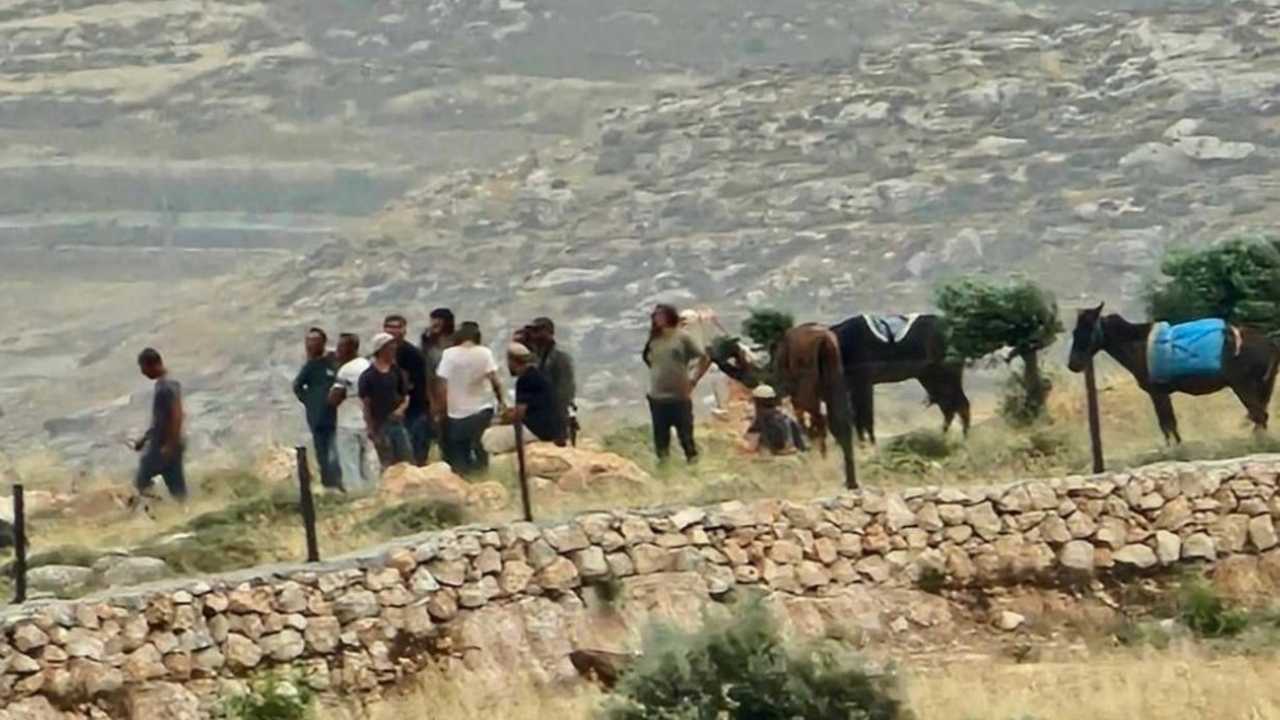 Cientos de miles de israelíes se apropian de tierras cultivables en la Cisjordania ocupada ilegalmente. foto: agencia de noticias palestina WAFA