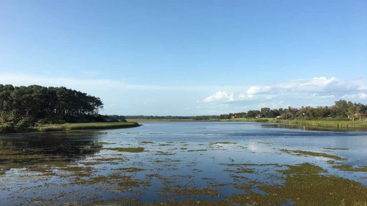 Laguna del Diario, Maldonado