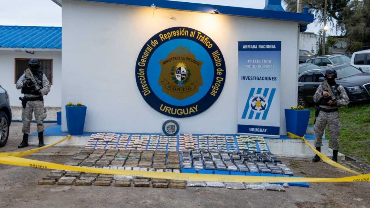 Lo incautado en la Operación Trazador. Foto: Ministerio del Interior