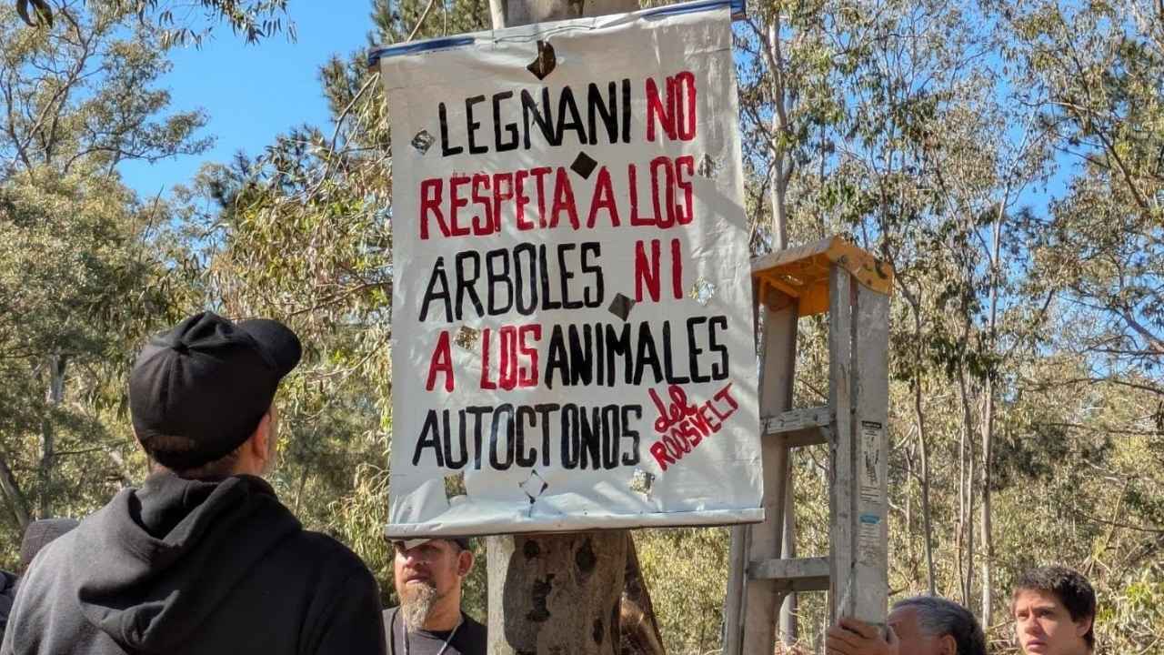 Foto cortesía de Instagram / rooseveltparatodos