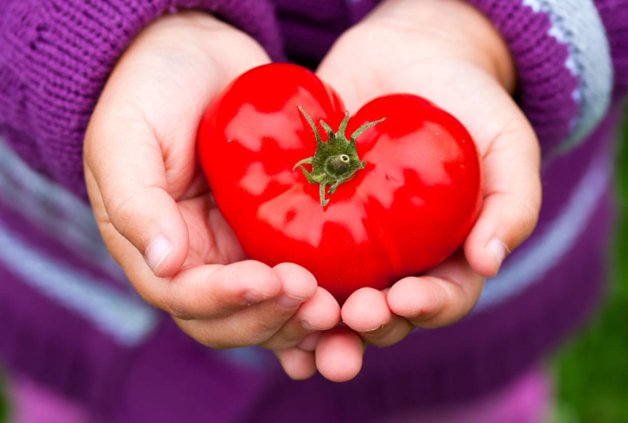 tomate