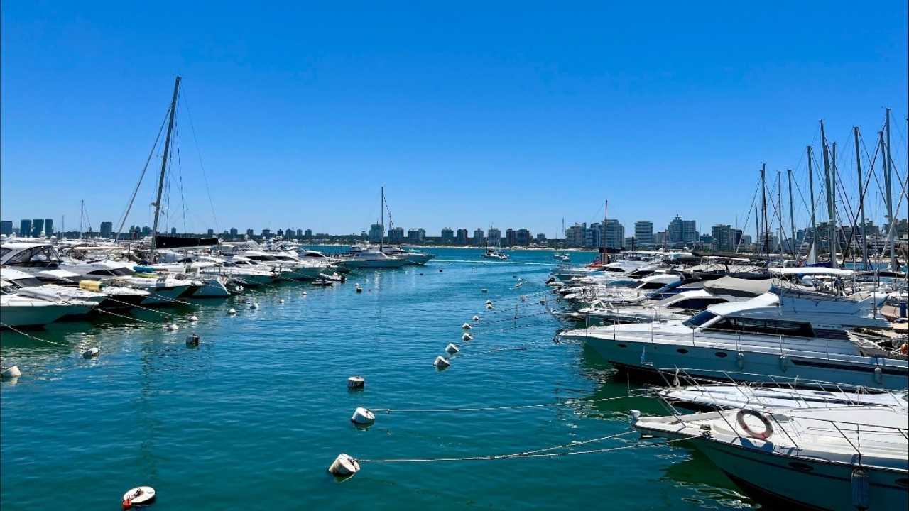 Yates amarrados en el Puerto de Punta del Este