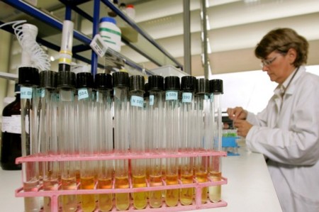 antidoping ibaf.org