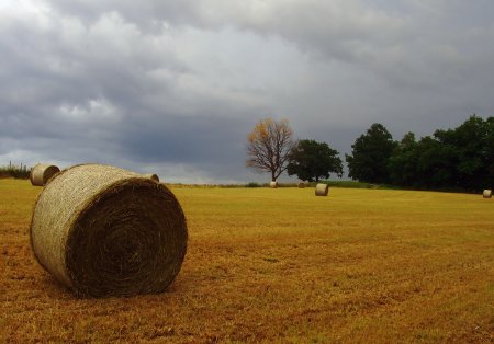 Campo nublado