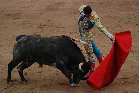 Tauromaquia toro
