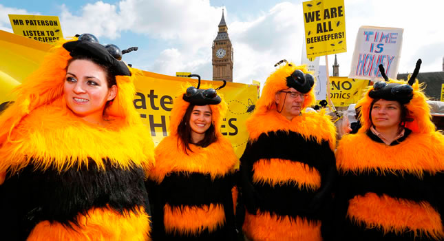 Uno de los carteles reza "Todos somos guardianes de las abejas"