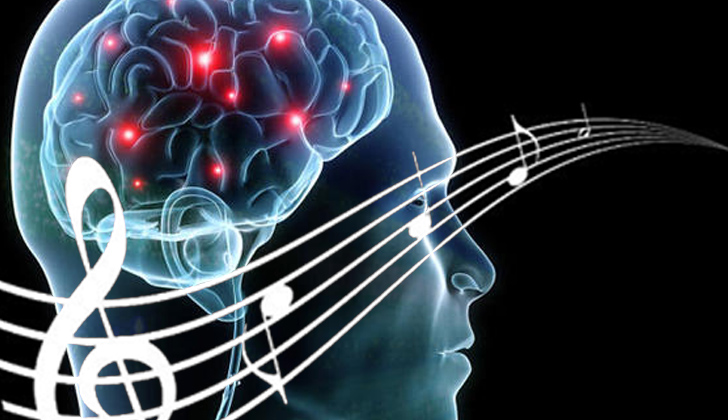 Los científicos afirman que los aspectos cruciales de la memoria musical son procesados en áreas cerebrales que no son las que habitualmente se asocian con la memoria episódica, la semántica o la autobiográfica. Foto: Wikimedia Commons.