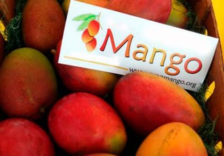 Beneficios de consumir mango. Foto: AFP