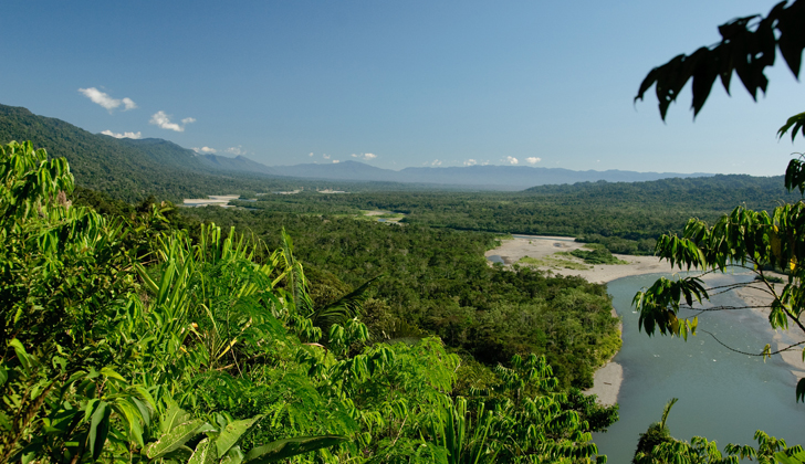 La Amazonia es considerado "el pulmón del planeta". 