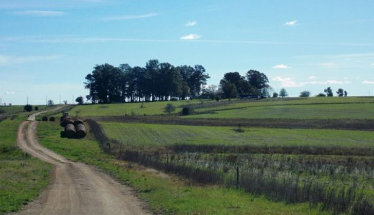 rural
