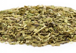 ¿Es bueno o malo tomar mate?. Foto: Wiki Commons