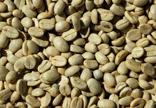Propiedades y beneficios del café verde. Foto: Pixabay