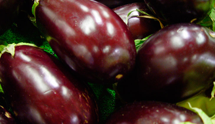 Propiedades y beneficios de la berenjena . Foto: Pixabay