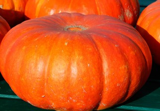 Propiedades y beneficios de consumir calabaza. Foto: Pixabay
