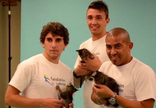 fundacion-celeste