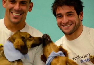 Jugadores de la selección junto a Animales Sin Hogar para el calendario 2016 de la Fundación Celeste .