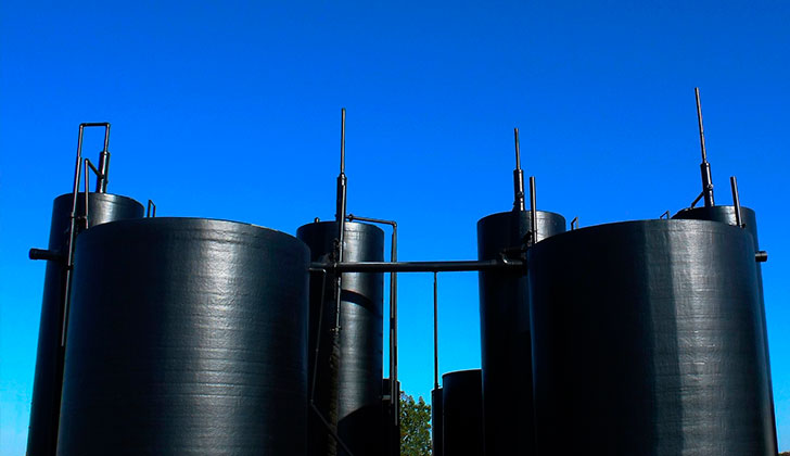 Desarrollan un combustible ecológico a base de algas y polvo de carbón. Foto: Pixabay