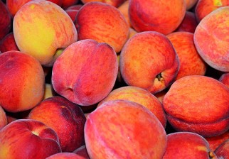 ¿Qué nos aporta comer durazno?. Foto: Pixabay