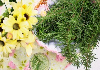 Las hierbas aromáticas podrían favorecer al cerebro. Foto: Pixabay