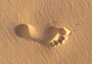 Remedios naturales para los pies hinchados. Foto: Pixabay