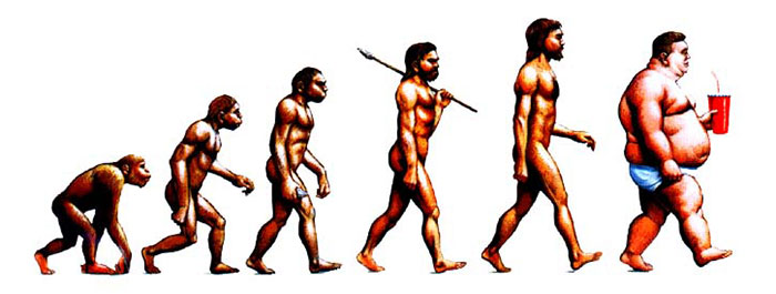 evolucion-dia-darwin-13