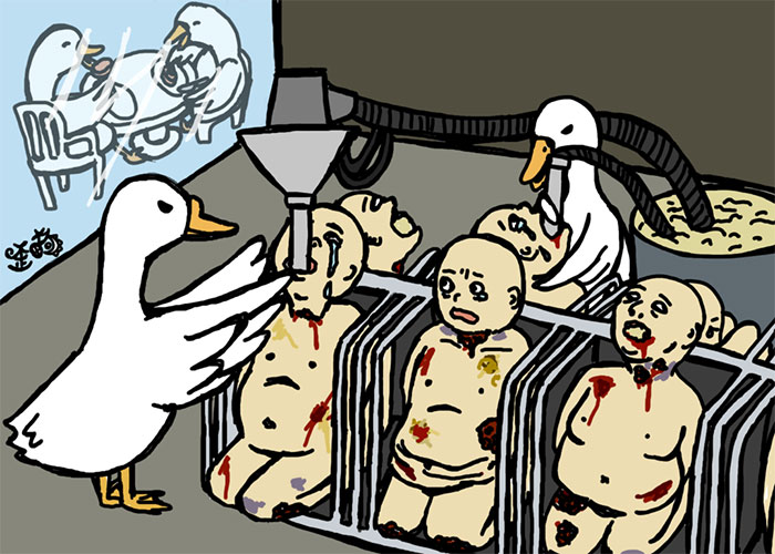 mundo animal 15