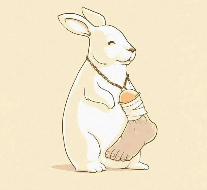 mundo animal 19