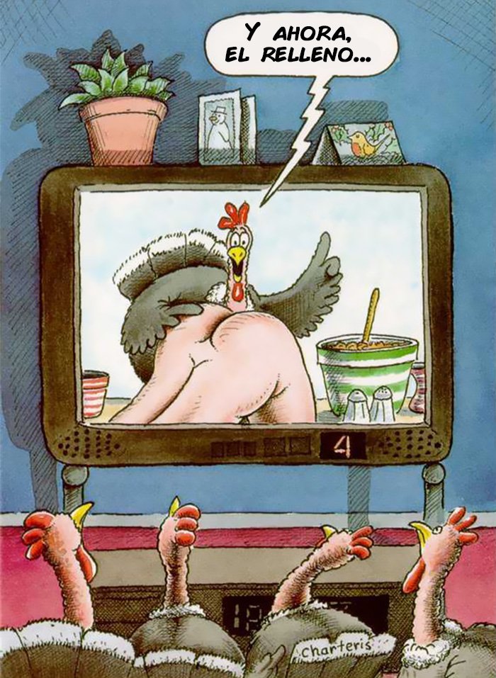 mundo animal 21