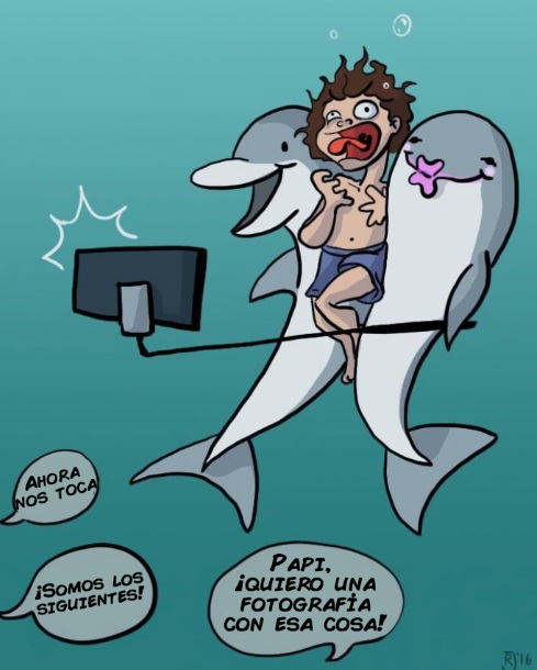 mundo animal 24
