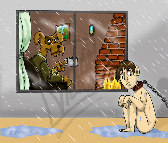 mundo animal 3