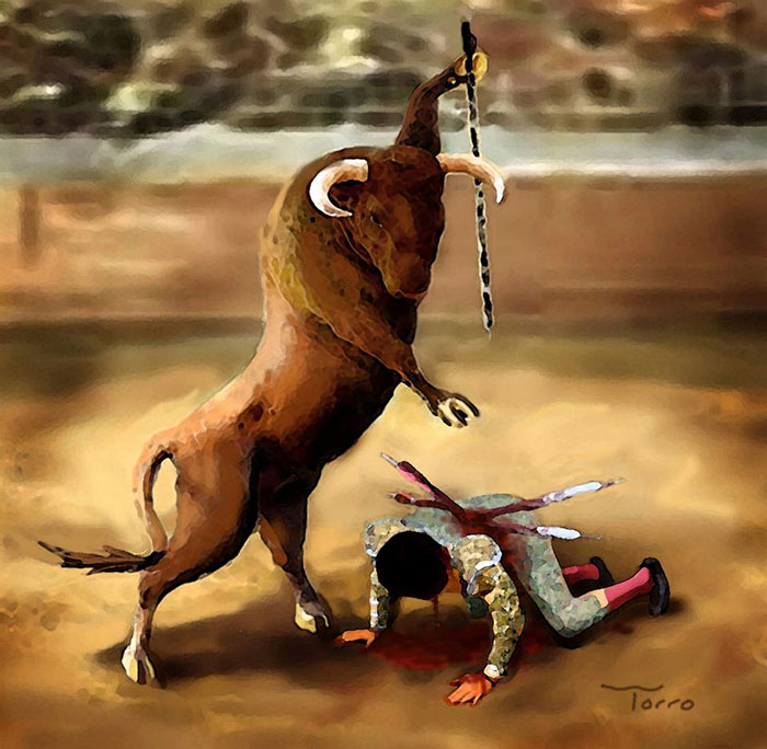 mundo animal 6