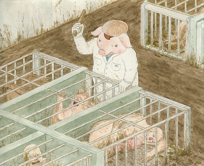 mundo animal 7