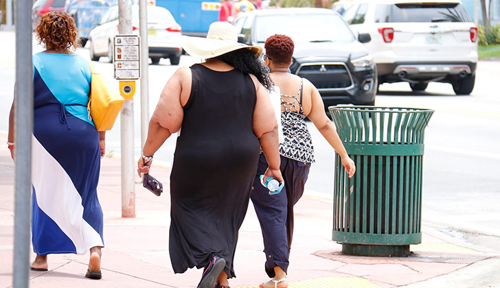 Según un estudio publicado en The Lancet 1 de cada 5 personas será obesa en 2025. Foto: Pixabay