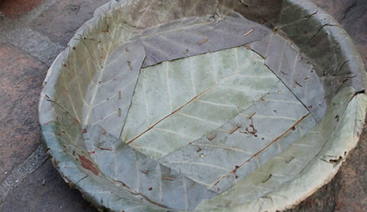 Platos biodegradables para reemplazar al plástico.