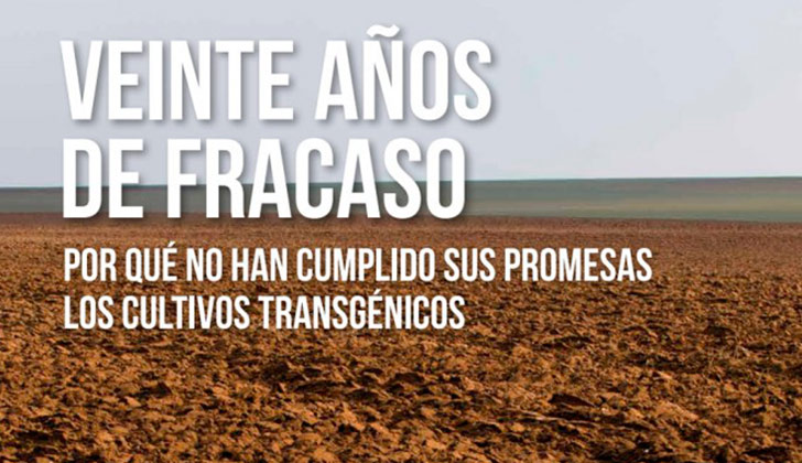 Greenpeace denuncia el fracaso de los transgénicos .