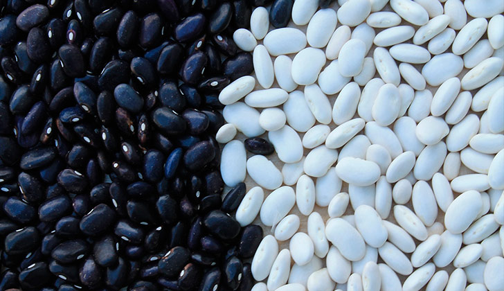 Beneficios y propiedades de los porotos para la salud. Foto: Pixabay