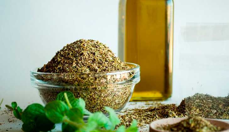 Aceite de orégano para favorecer el sistema respiratorio. Foto: Shutterstock
