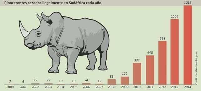 Foto: Stoprhinopoaching.com. 