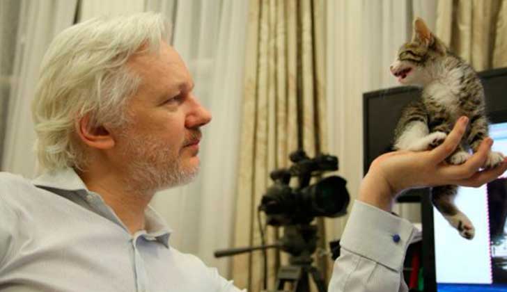 Julian Assange: "Hillary Clinton trató de destruir y se destruyó a sí misma". Foto: Repubblica