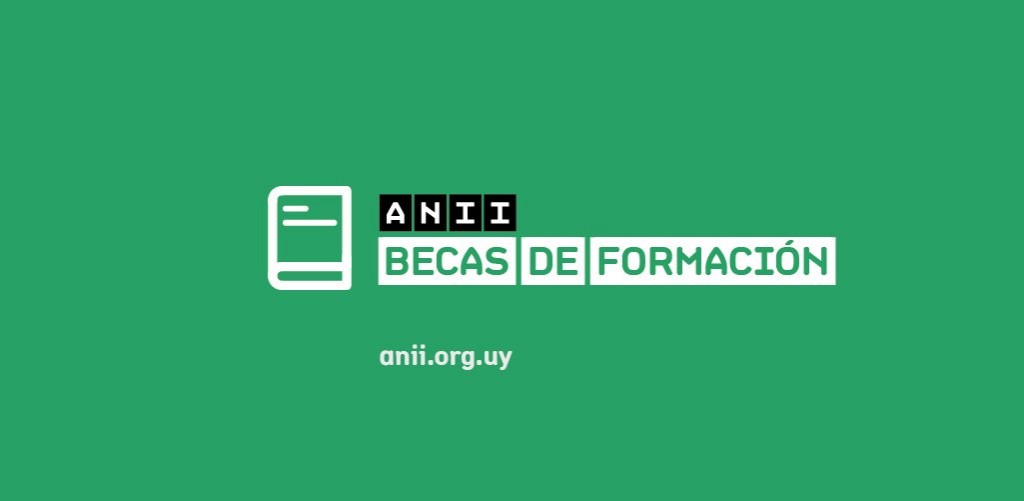 anii-becas