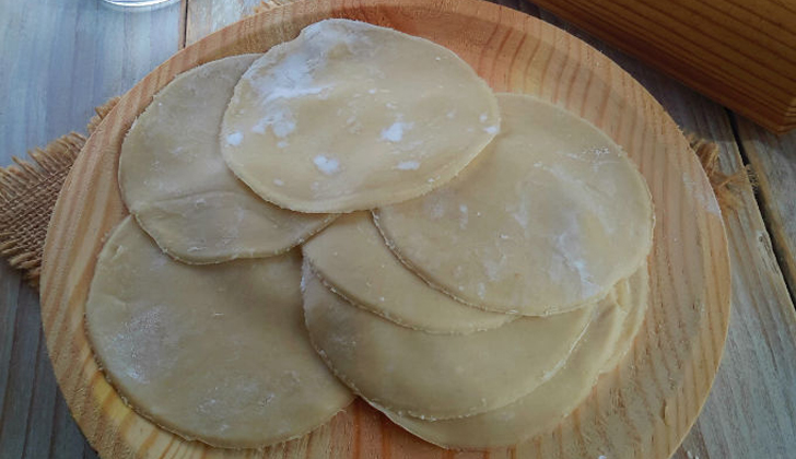 wonton