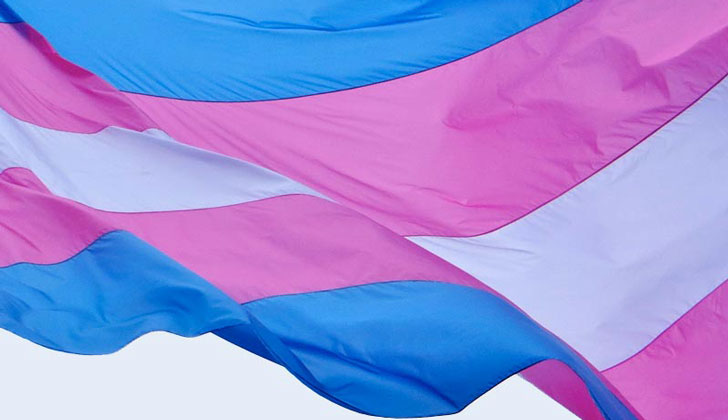 Point5cc-Blog-TransFlag