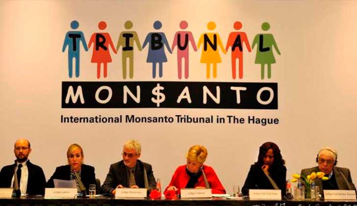 Fallo en La Haya: Monsanto daña la salud, el ambiente, la alimentación y la información.